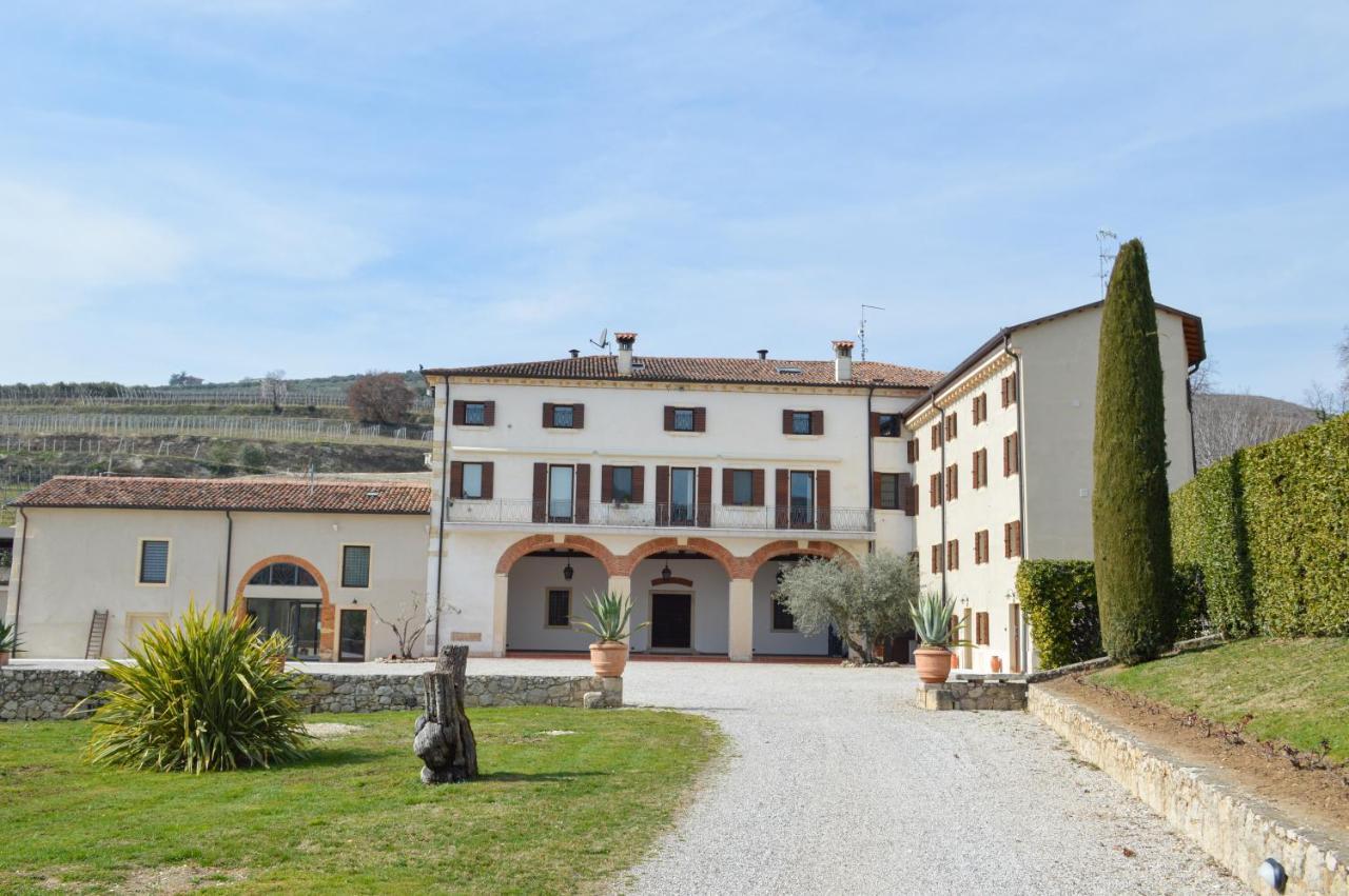 Verdeolivo 1876 - Apartments & Pool Mezzane di Sotto Zewnętrze zdjęcie