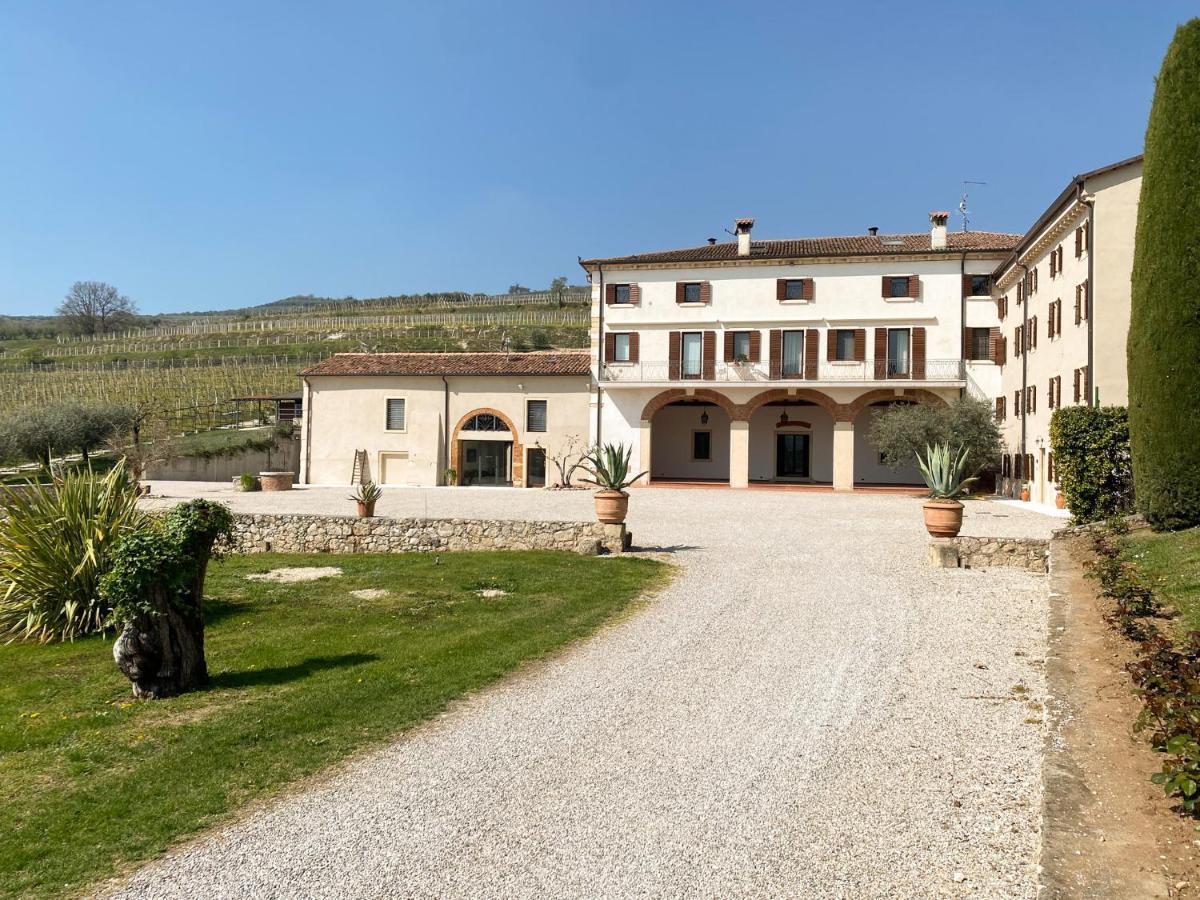 Verdeolivo 1876 - Apartments & Pool Mezzane di Sotto Zewnętrze zdjęcie